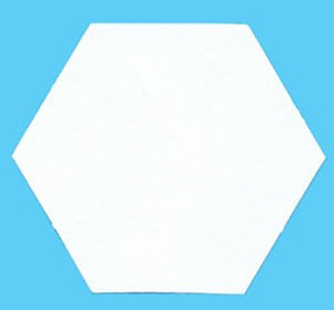 Paper Pieces 1in Hexagons Pack 100pc