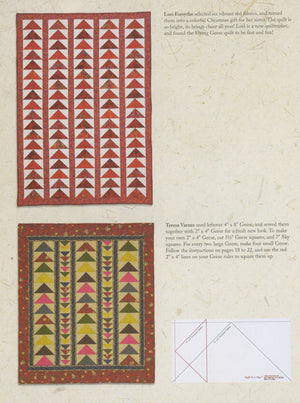 Flying Geese Quilt in a Day