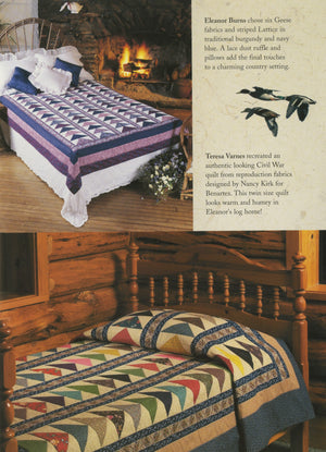Flying Geese Quilt in a Day