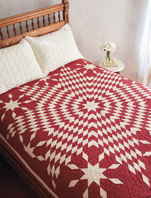 Red & White Quilts - 14 Quilts with Timeless Appeal