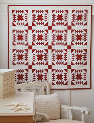 Red & White Quilts - 14 Quilts with Timeless Appeal